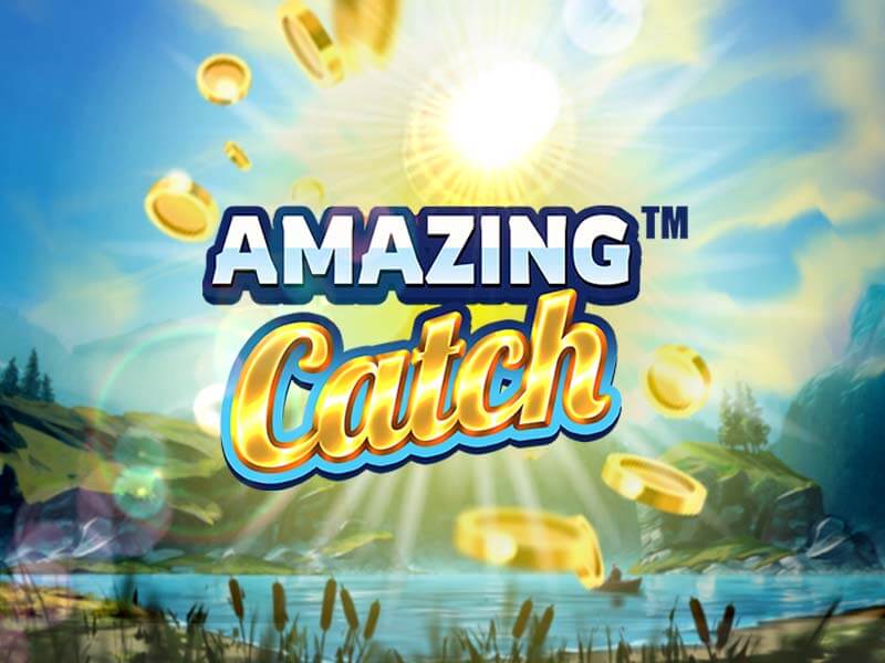 Capa do Jogo Amazing Catch
